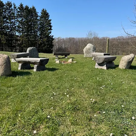 Landferienhaus Sonnenblume Apartment *